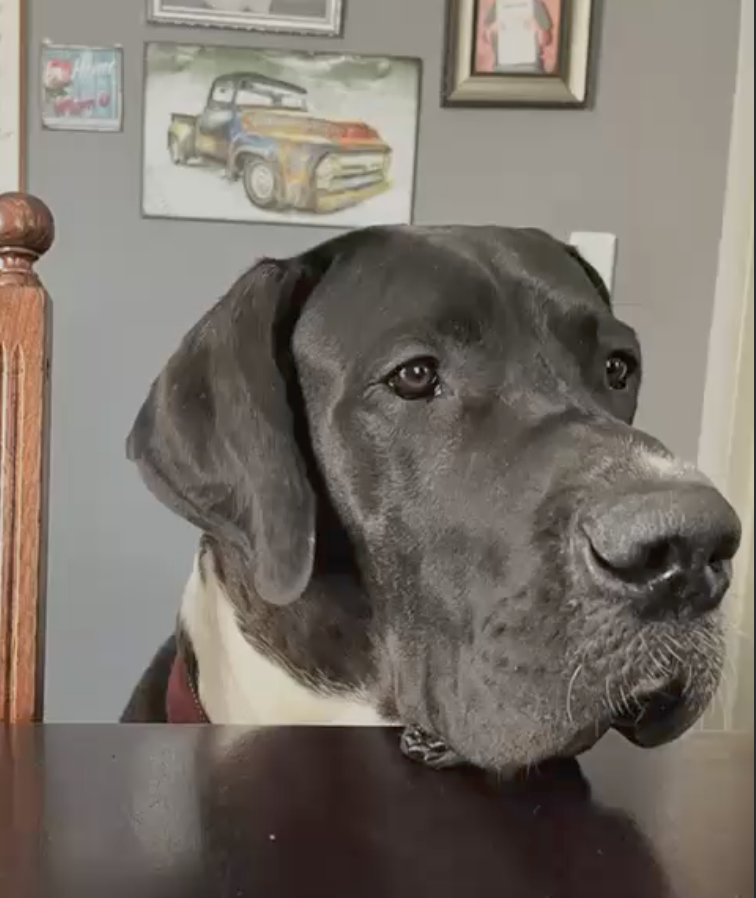 Thanos resting his head on the table