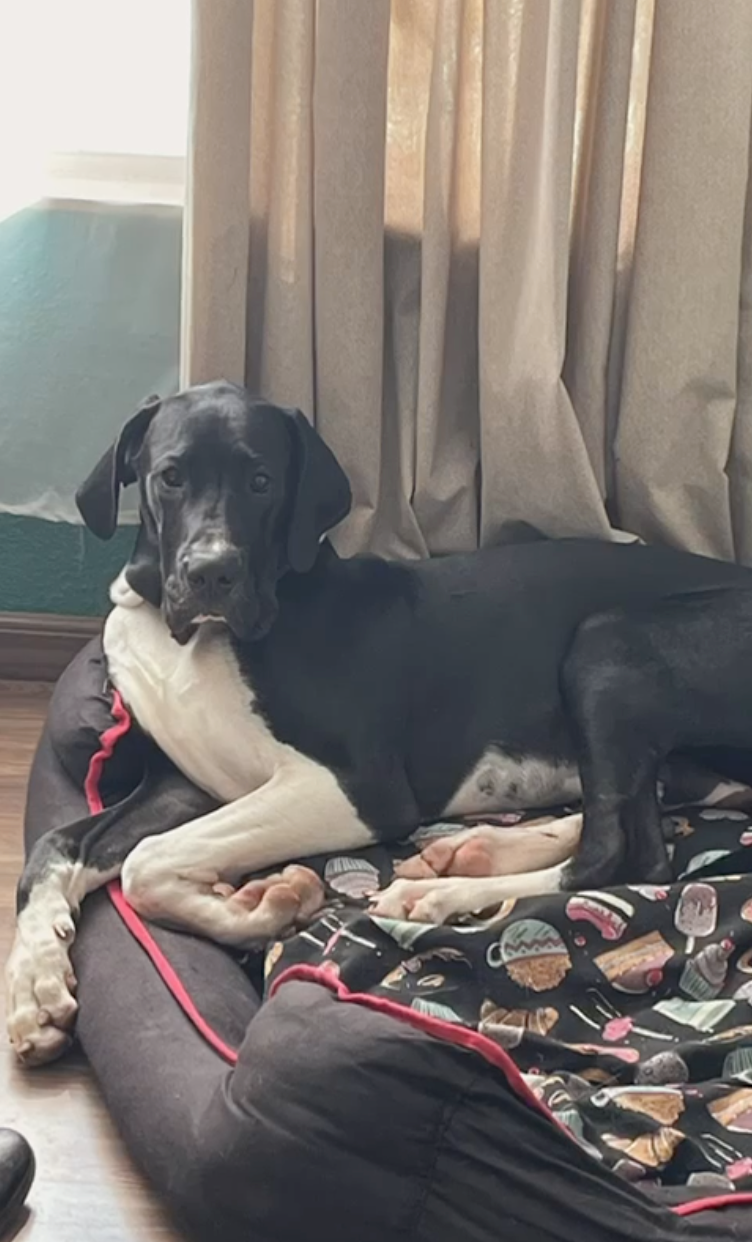 Young Thanos relaxing on his bed